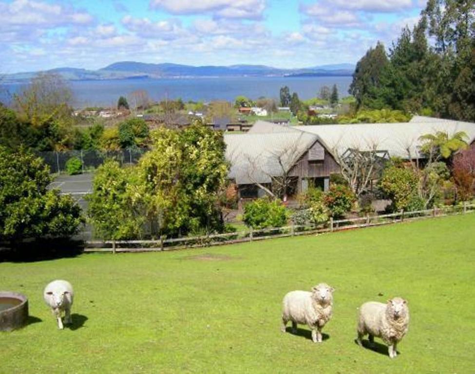A Panoramic Country Homestay Rotorua Exterior photo